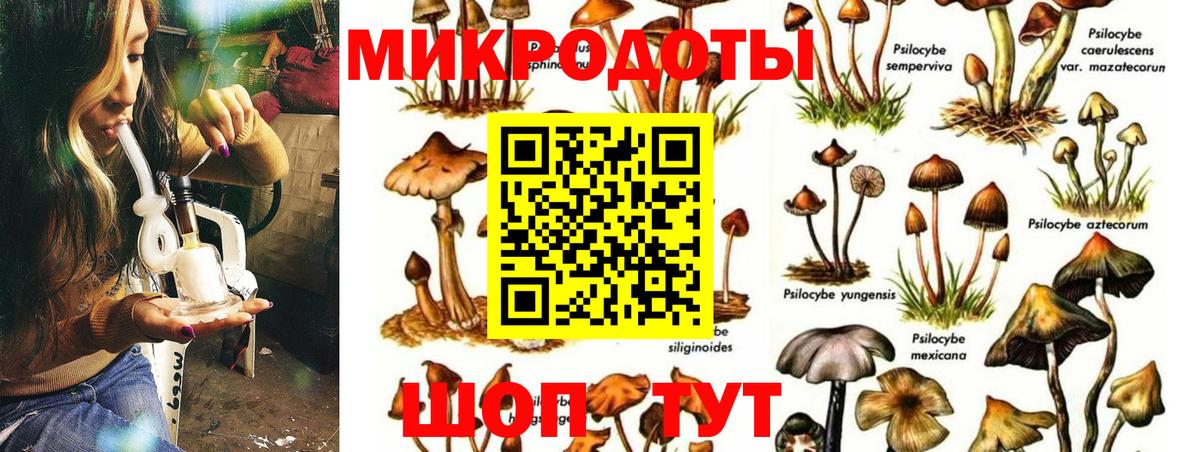 Псилоцибиновые грибы MAGIC MUSHROOMS  Вход с VPN  Петровск  Псилоцибиновые грибы Psilocybine cubensis 