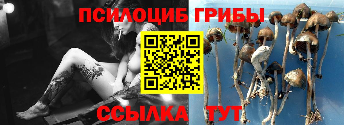 Псилоцибиновые грибы мухоморы Петровск